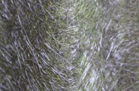 Winterton On Sea fibreglass roof work